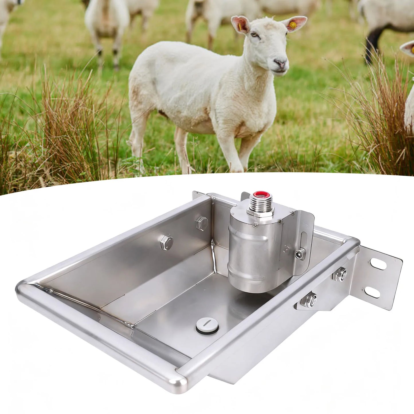Cattle And Sheep Water Dispenser Thickened Stainless Steel Automatic Dog Feeder Trough Bowl