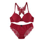 Hot selling 2-piece set of sexy red front button braissere beautiful back butterfly fashion bra push up women's set A2120