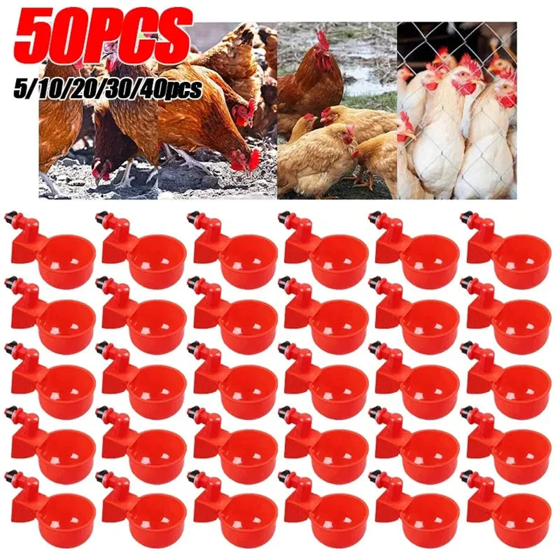 5-50Pcs Automatic Chicken Waterer Bird Feeder Poultry Farm Drinking Bowl for Chicken Duck Goose Drinking Water Farm Supplies