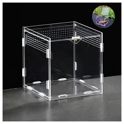 Clear Acrylic Reptile Feeding Box Stackable and Buckle Splicing Box for Scorpion Spider Frog