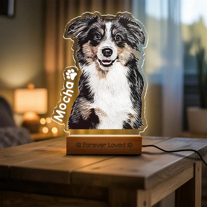 Personalized Pet Memorial Acrylic Night Light Custom Dog Cat Gift Bedroom Decoration Warm Ornament First Choice for Pet Fans