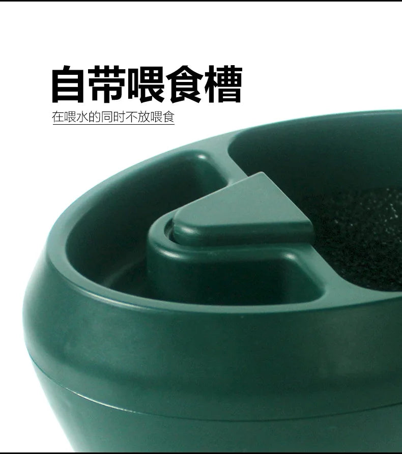 Reptile Water Dispenser Fountain Waterbowl with Food Storage Container Terrariums Accessories Feeding Supplies for Pet Chameleon