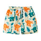 3D Printed Shorts Casual Vacation Style Summer Fashion Trend Short Pants Outdoor Sports Fitness Surf Quick Drying Board Shorts