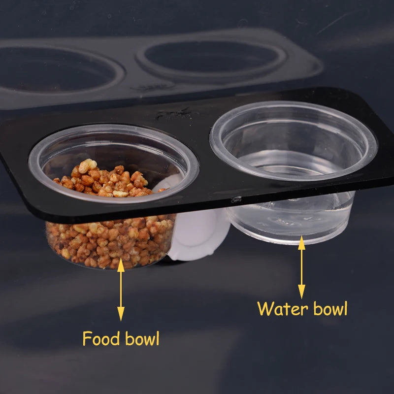 Reptiles & Amphibians Lizard Gecko Suction Cup Feed Bowls Food Container with Bowl for Reptile Food and Water Feeding