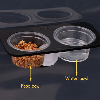 Reptiles & Amphibians Lizard Gecko Suction Cup Feed Bowls Food Container with Bowl for Reptile Food and Water Feeding