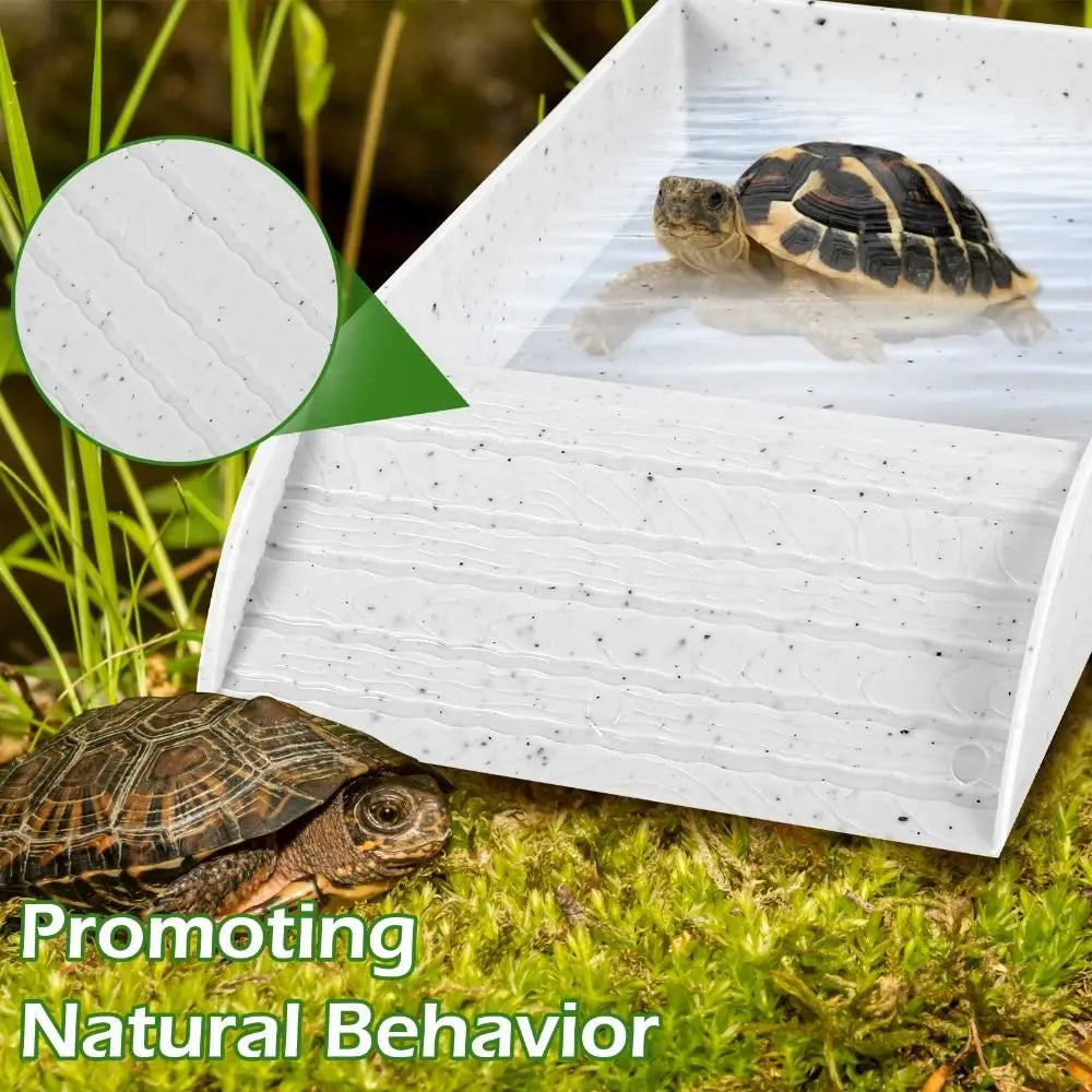 Dish Plastic Turtle Food and Water Bowl Tortoise Accessories for Basking Feeding Bathing