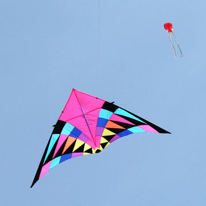 Free shipping large delta kites professional for adults kites flying toys sport kites windsurfing show kites fried flight kites