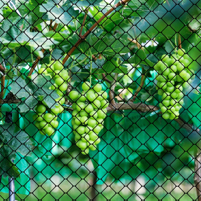 Nylon Bird Net Anti Bird Catcher Netting Pond Fruit Tree Flower Garden Mesh Protective Chicken Coop Pest Control Tool Fishing Ne