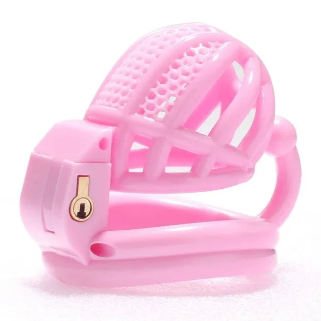 BDSM Chastity Cage 4 Size Ring Penis Cage Device Femdom Restraint Penis Lock Breathable Urethral Lock Bondage Device for Men