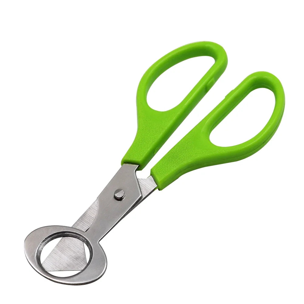 For Cutter Scissors Pigeon Bird Quail Egg Cutter Opener Cracker Kitchen Clipper Tool 10PCS Stainless Steel Quail Egg