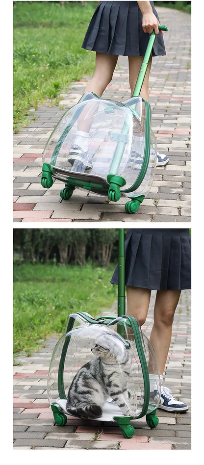 Pet Trolley Case, Fully Transparent Cat Case, Breathable Space Cabin Cat Bag, Outdoor Bag, Portable Small Dog Bag