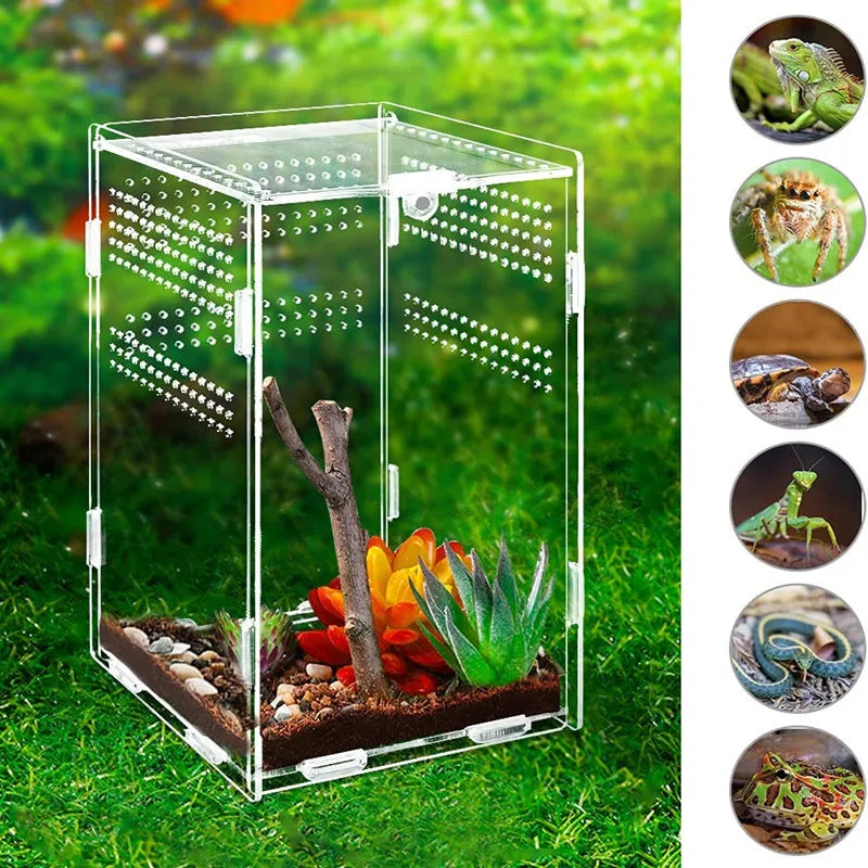 Acrylic Transparent Reptile Terrarium Breeding Box Turtle Cage Nano Arboreal Tarantula Enclosure Dearded Dragon Reptiles Habitat