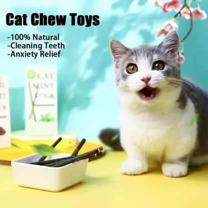 Pet Cat Peppermint Teeth Teeth Teeth Cleaning Bite Stick Teasing Cat Stick Cat Bite Resistant Soothing Snack