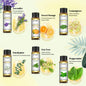 EUQEE Floral Essential Oils Set Of 6 Bottles For Diffuser,Candle Making-Rose Lavender Ylang Ylang Jasmine Geranium Chamomile