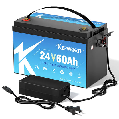 12V/24V LiFePO4 Battery with BMS - 30/50/100/120/135/300Ah for Golf Cart, Solar, RV, EV - Long Lifespan