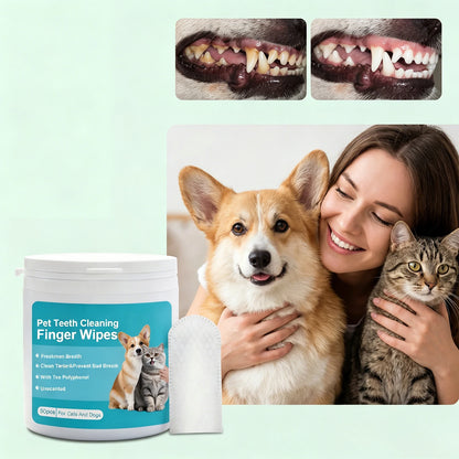 Pet Dental Finger Wipes for Dogs Cats Remove Plaque Tartar Stains Whitening Fresh Breath Disposable Toothbrushing Wipes 50PCS