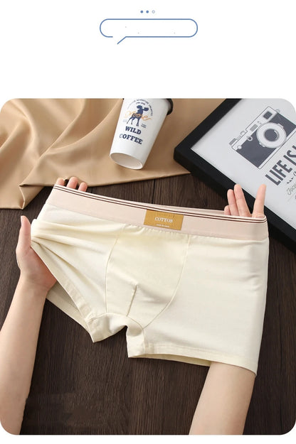 1/3Pcs Set Solid Color Men's Boxer Shorts Breathable Cotton Elastic Boyshorts Antibacterial 7A Level Comfortable Male Underwear