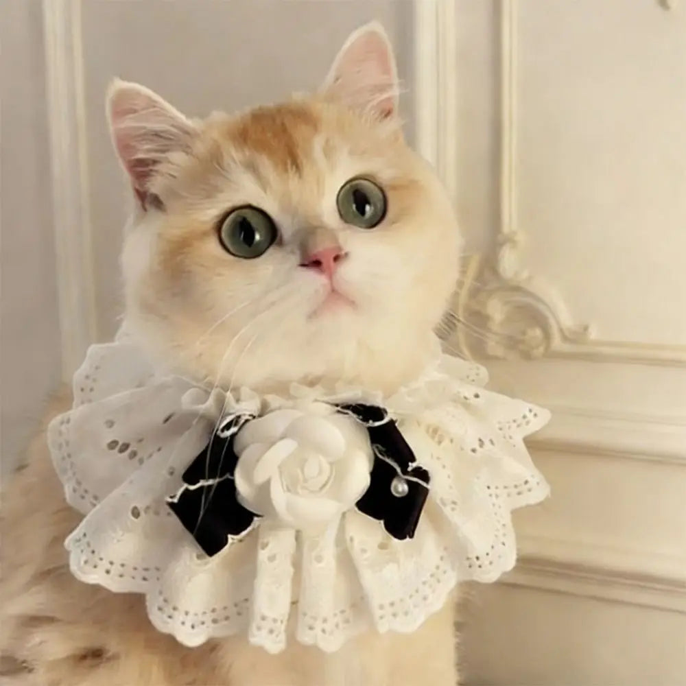Elegant Design Pearl Pet Collar Princess Style Lace Collar Bowtie Silk Material Headgear Pet Bow Accessories Special Occasions