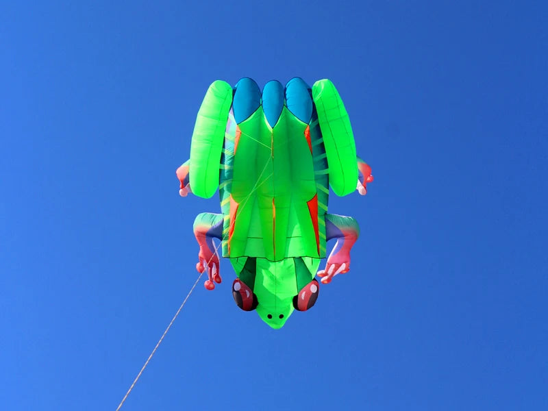 Frog kite cometas profesionales kite flying cerf volant gonflable outdoor games aquilone acrobatico vlieger haspel parplan pipa