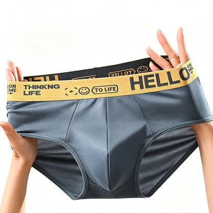 5Pcs Men's Underwear Summer Men Briefs Male Large Size XS-XL Boy Comfortable Solid Underpants Fungi-Proofing Men Panties
