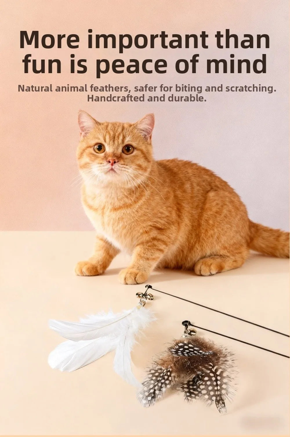 Wooden Handle Spring Teasing Cat Stick Feather Simulation Fishing Rod Cat Teaser Stick Interactive Replaceable Bell Squeaky Cat
