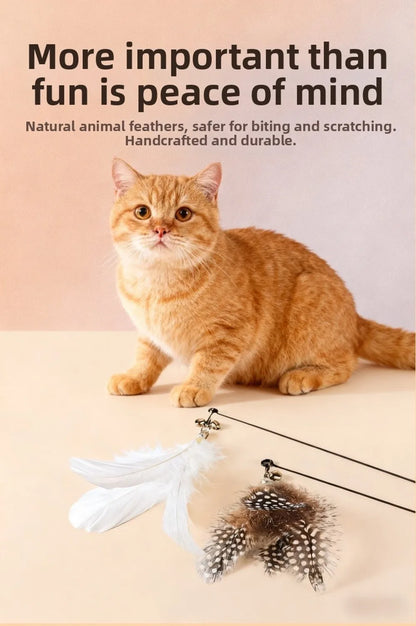 Wooden Handle Spring Teasing Cat Stick Feather Simulation Fishing Rod Cat Teaser Stick Interactive Replaceable Bell Squeaky Cat