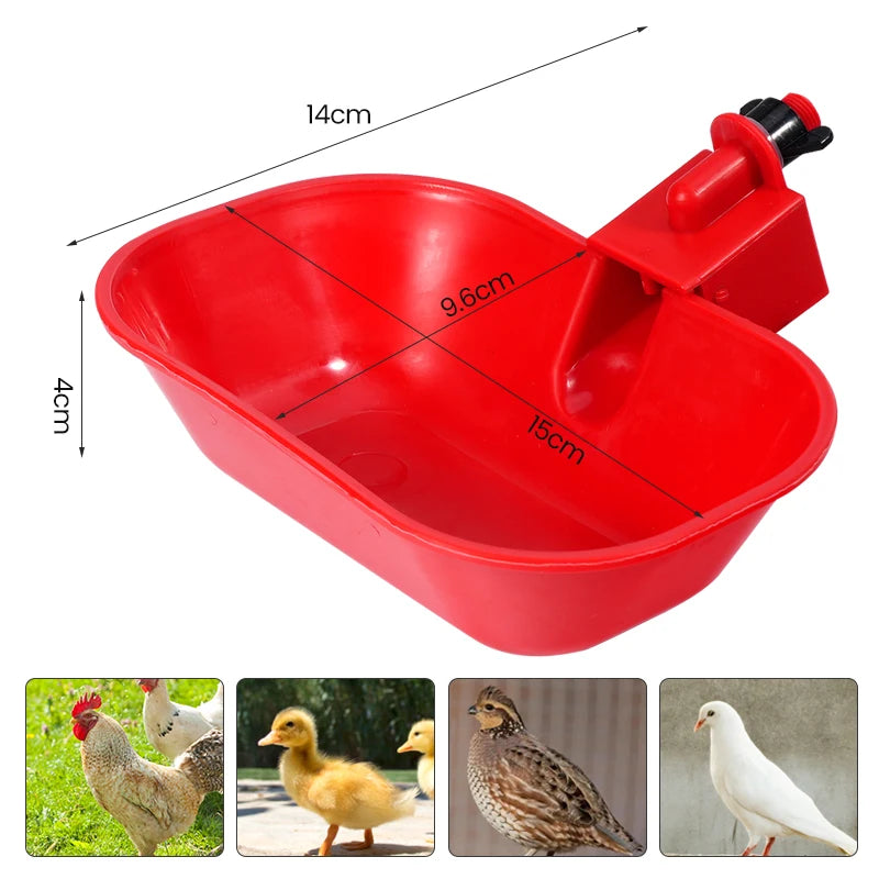 Poultry Water Bowl Pet Drinking Water Dispenser Square Enlarged Chicken Duck Goose Automatic Drinking 3/6/10Pcs Feeding Tools