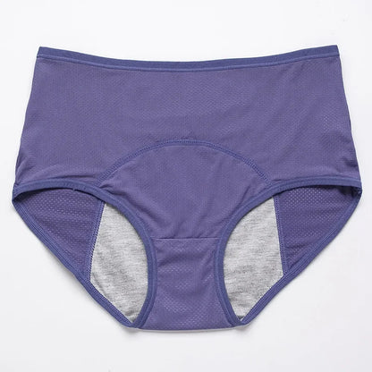 2pcs Women's Physiological Briefs Girl Menstrual Panties Ladies Period Leak Proof Panty Mid Waist Ice Silk Underwear