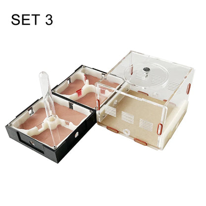 Acrylic Ant Farm Unlimited Expansion Ant Nest with Feeding Area Gypsum Ant House Pet Anthill Workshop Moisturizing Water Tower