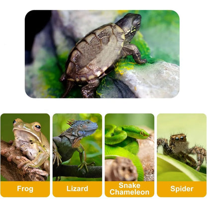Reptile Bathing Pool Reptile Feeding Dish Water Bowl with Ramp Aquarium Ornament for Snake, Turtle, Bearded Dragon, Lizard Bath
