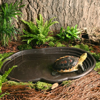 Reptile Bathing Dish Amphibians Habitat Reptile Tortoise Feeder  Water Food Bowl Feeding Dish for Bearded Dragons Turtle