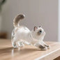 (HB05)Cute Cat Hair Storage Keychain Bag Pendant Transparent Pet Fur Keepsake Capsule Souvenir Collection Gift Decoration