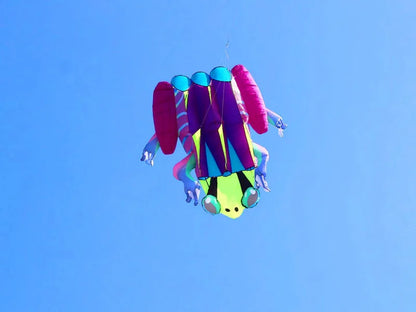 Frog kite cometas profesionales kite flying cerf volant gonflable outdoor games aquilone acrobatico vlieger haspel parplan pipa