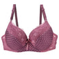 DaiNaFang New Lace Bras 34/75 36/80 38/85 40/90 42/95 44/100 BCDE Underwear For Women Push Up Lingerie