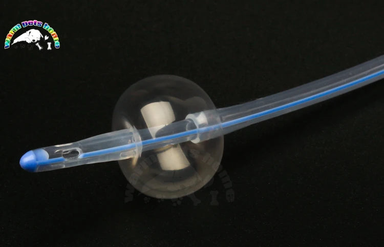 10PCS Medical 2-Way Silicone Foley Catheter Cannula 6Fr 8Fr 10Fr Canine Dog Urinary Catheter Veterinary Consumables