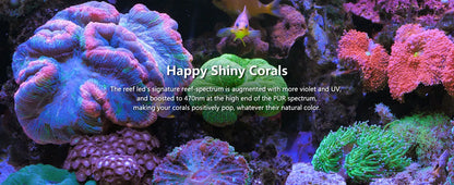 PopBloom WiFi Aquarium LED Light RL90/RL115, Professional Reef Aquarium Lamp Full Spectrum for Reef Coral SPS/LPS Fish Tank