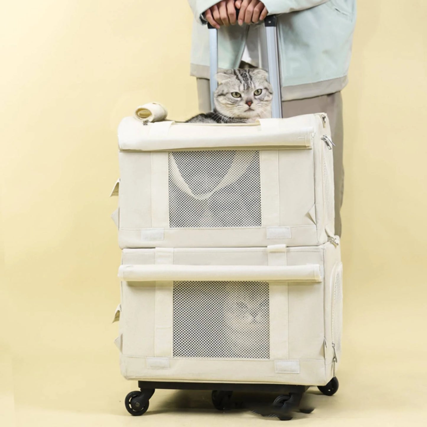 Pet Carrier with Telescopic Handle Foldable Pet Carrier Trolley Travel Bag Portable Long-Lasting for Cats, Outings