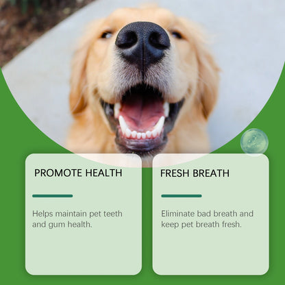 150g Mint Dog Dental Cleaning Powder Gentle Remove Teeth Stain Prevent Plaque Tartar Removal Refreshing Breath Dog Teeth Cleaner