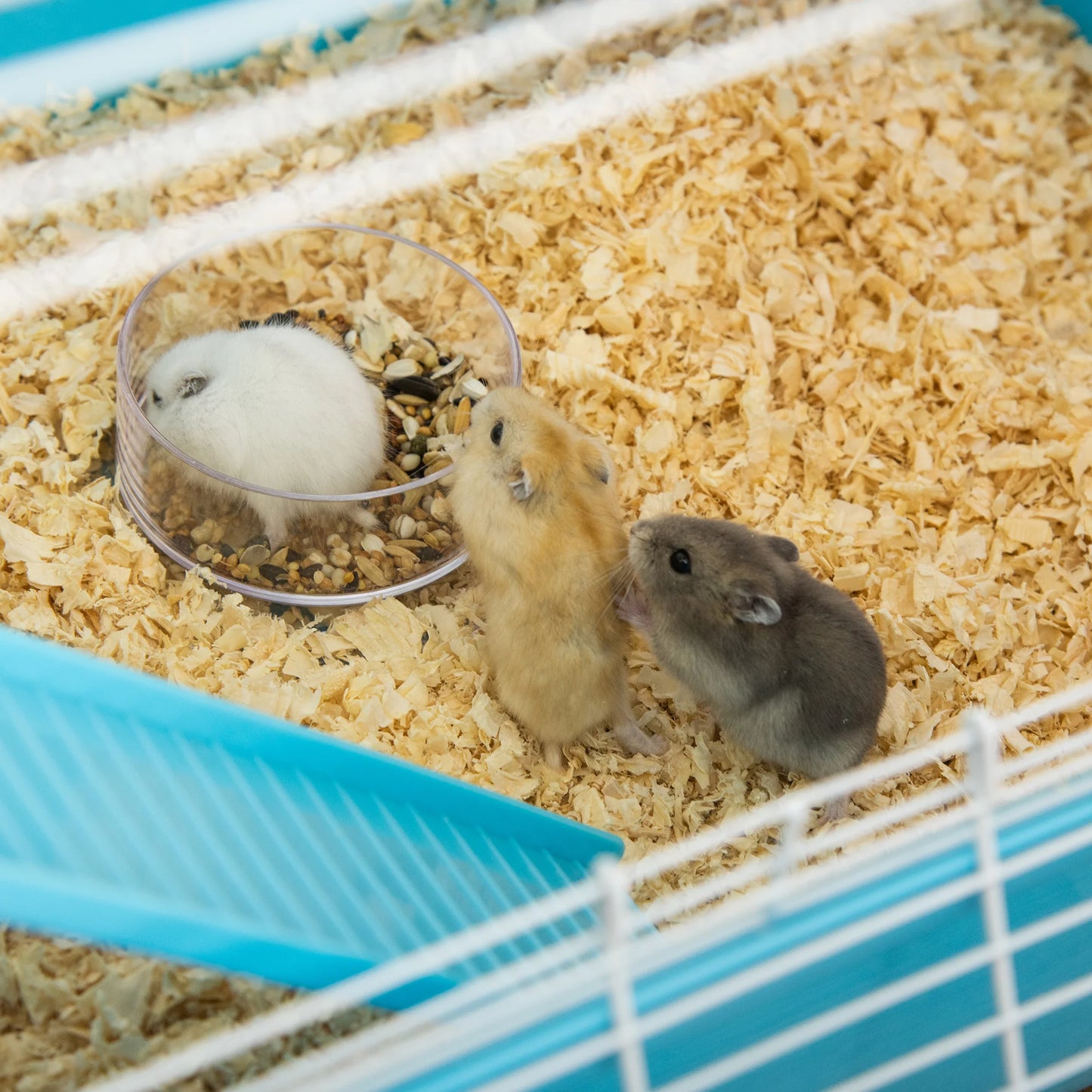 Large 5-stage hamster rodent cage with water watering tunnel wheel Dim. cages room ladder for pet animals, hamster cages rat cages, pet animals furniture