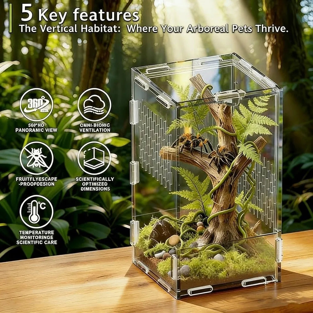 Acrylic Jumping Spider Enclosure Buckle Lock Escape Proof Spider House Ventilated Transparent Reptile Habitat Small Pet Supplies
