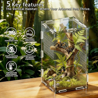 Acrylic Jumping Spider Enclosure Buckle Lock Escape Proof Spider House Ventilated Transparent Reptile Habitat Small Pet Supplies