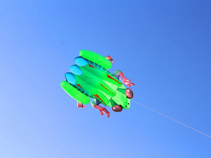 Frog kite cometas profesionales kite flying cerf volant gonflable outdoor games aquilone acrobatico vlieger haspel parplan pipa