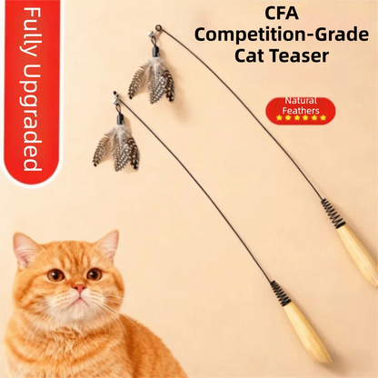 Wooden Handle Spring Teasing Cat Stick Feather Simulation Fishing Rod Cat Teaser Stick Interactive Replaceable Bell Squeaky Cat