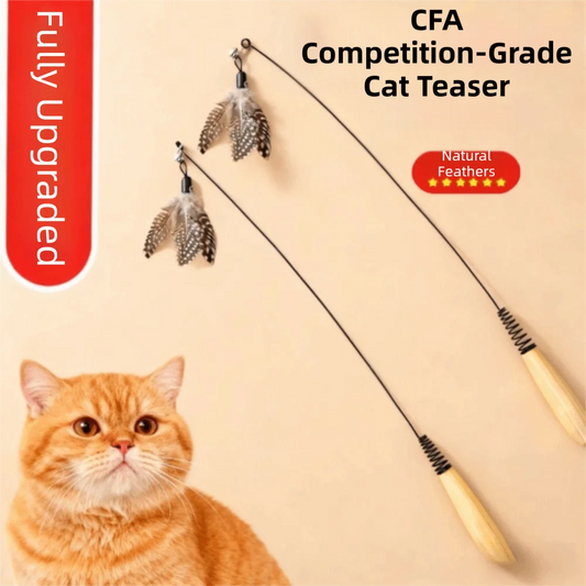 Wooden Handle Spring Teasing Cat Stick Feather Simulation Fishing Rod Cat Teaser Stick Interactive Replaceable Bell Squeaky Cat