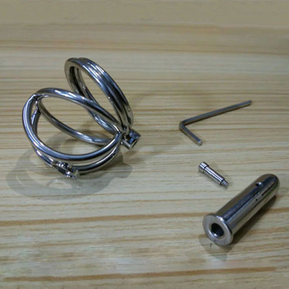 Steel Prince Albert Chastity Cage Male Urethral BDSM Bondage Unique Design Metal Cock Cage Men Cbt Lock Chastity Device
