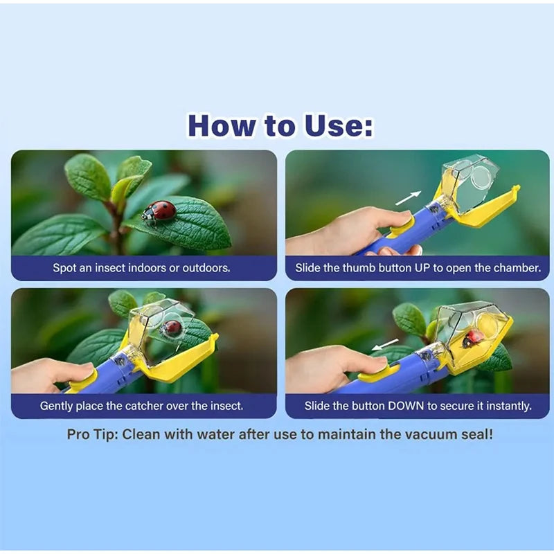 Children Explore Observe Insect Catcher Traps Catching Dragonflies Insects Magnifying Observation Box  Safety Insect Collector