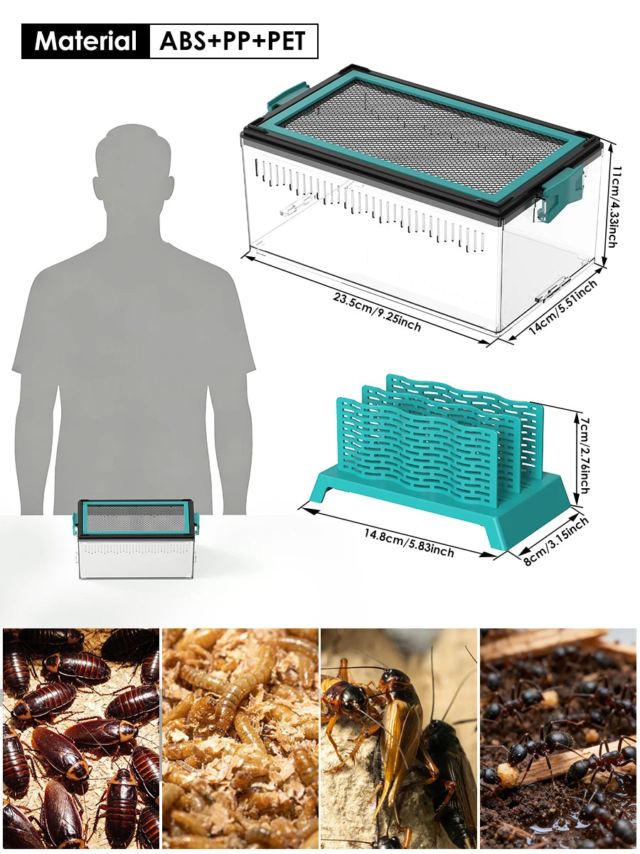 Live Feed Box Set for Bearded Dragons and Chameleons, Suitable for Raising Dubia Roaches and as a Small Reptile Enclosure