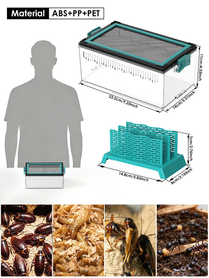 Live Feed Box Set for Bearded Dragons and Chameleons, Suitable for Raising Dubia Roaches and as a Small Reptile Enclosure