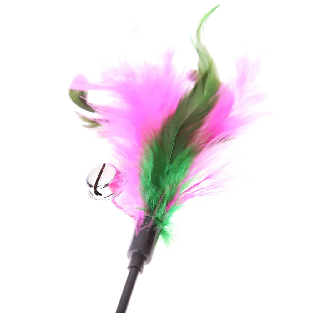 5pcs/set Interactive Funny Cat Stick Colorful Feather Cat Game Wand Exquisite Portable Creative Fashion Novelty Pet Cat Supplies