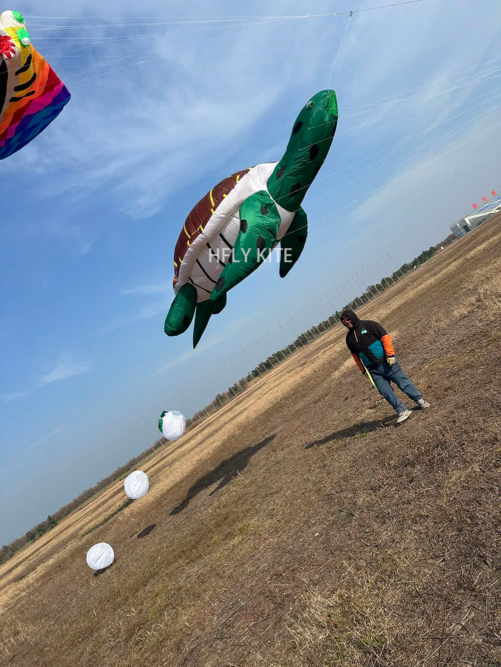 HFLY New Arrival Soft Inflatable Large 5m Sea Turtle Kite Line Laundry for Adults High Quality  40D Nylon Animal Kites Pendant